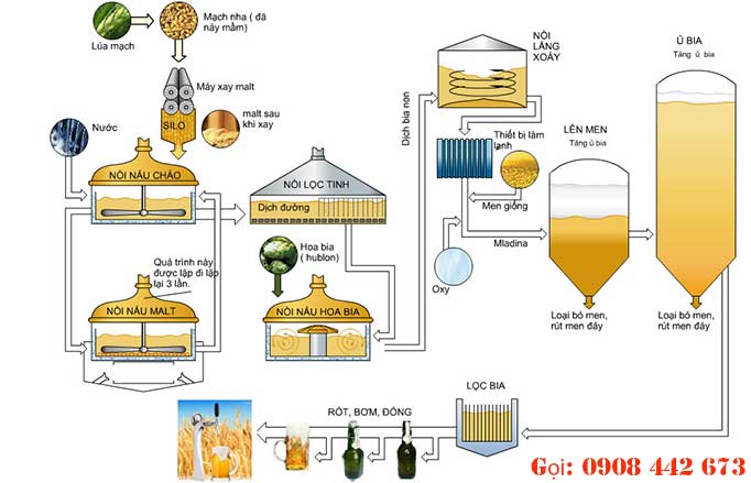 Quy trình sản xuất bia tươi